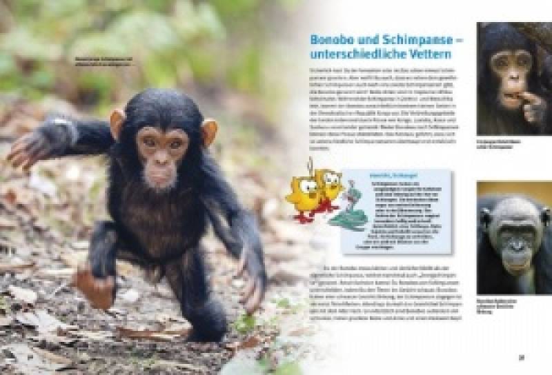 Preview: Entdecke die Menschenaffen